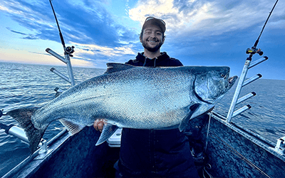King Salmon (Chinook Salmon)