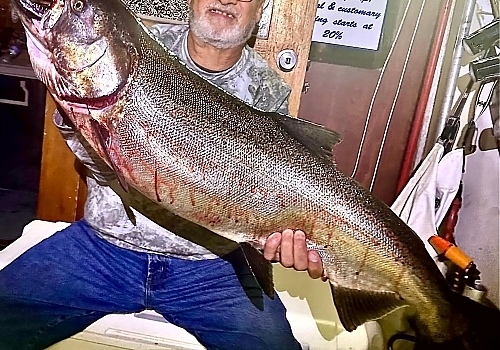 Older gentleman holds up huge fisha